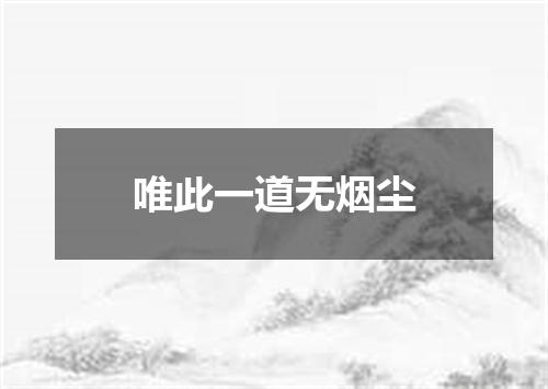 唯此一道无烟尘