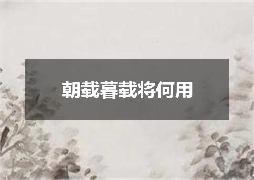 朝载暮载将何用