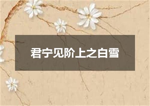 君宁见阶上之白雪