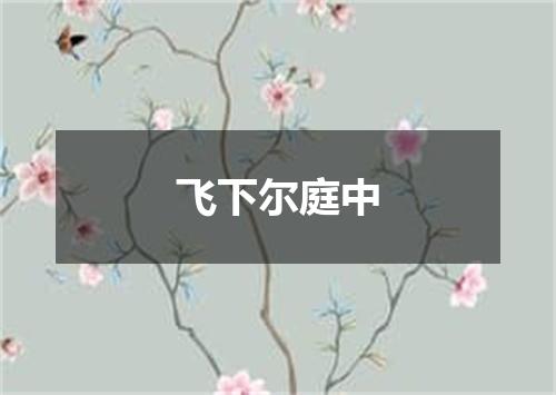 飞下尔庭中
