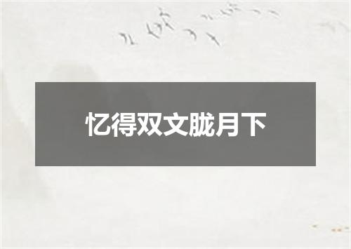 忆得双文胧月下