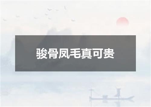 骏骨凤毛真可贵