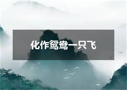 化作鸳鸯一只飞
