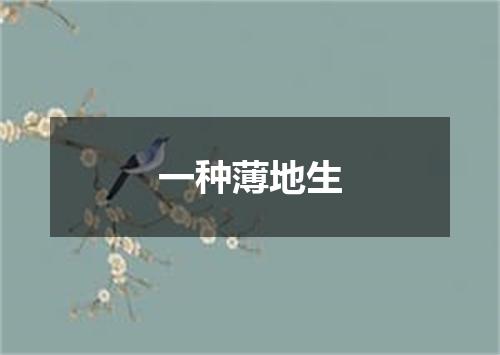 一种薄地生