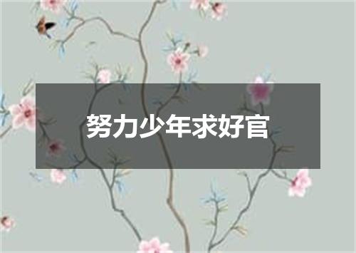 努力少年求好官