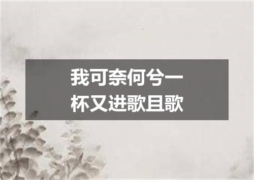 我可奈何兮一杯又进歌且歌