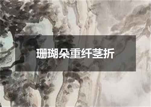 珊瑚朵重纤茎折
