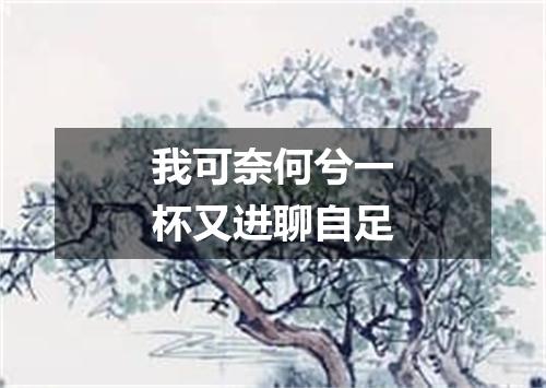 我可奈何兮一杯又进聊自足