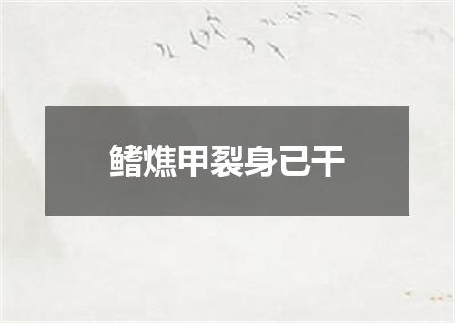 鳍燋甲裂身已干