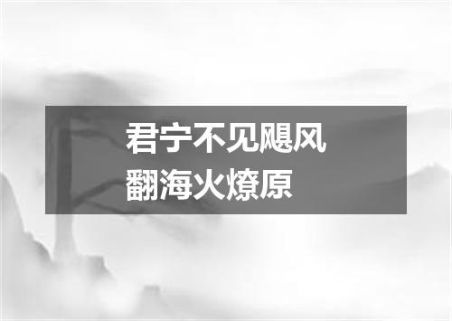 君宁不见飓风翻海火燎原