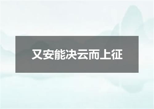 又安能决云而上征
