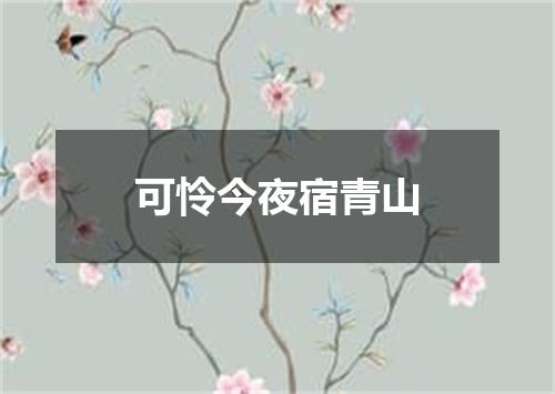可怜今夜宿青山