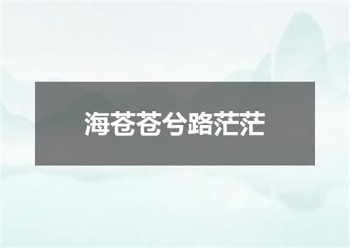海苍苍兮路茫茫