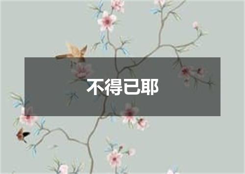 不得已耶