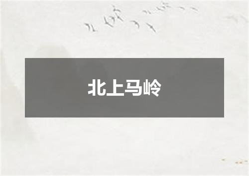 北上马岭