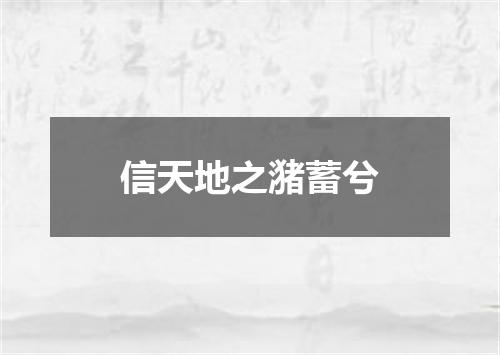 信天地之潴蓄兮