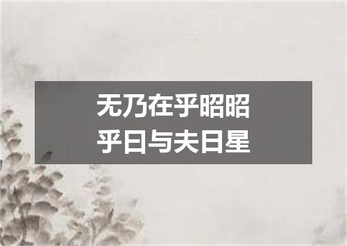 无乃在乎昭昭乎曰与夫日星