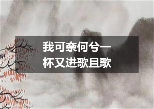 我可奈何兮一杯又进歌且歌