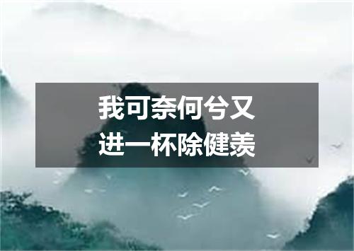 我可奈何兮又进一杯除健羡