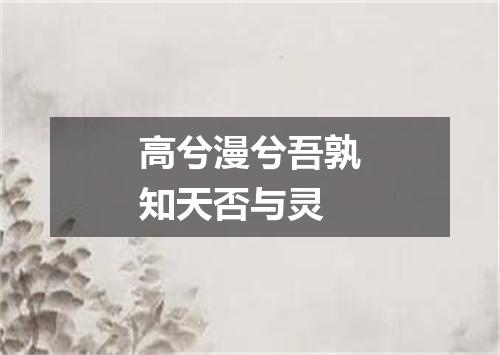 高兮漫兮吾孰知天否与灵