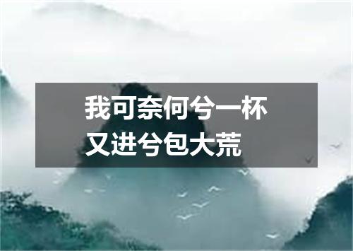 我可奈何兮一杯又进兮包大荒