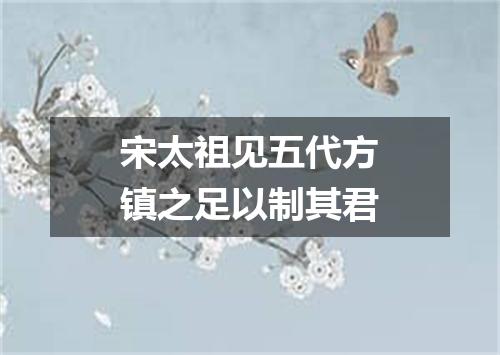 宋太祖见五代方镇之足以制其君