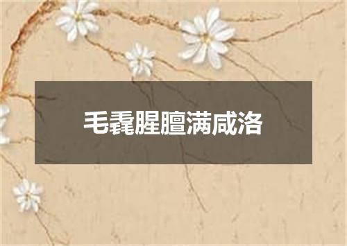 毛毳腥膻满咸洛