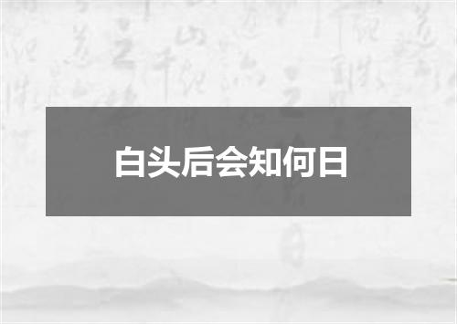 白头后会知何日