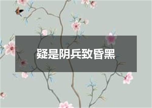 疑是阴兵致昏黑