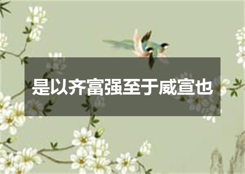 是以齐富强至于威宣也