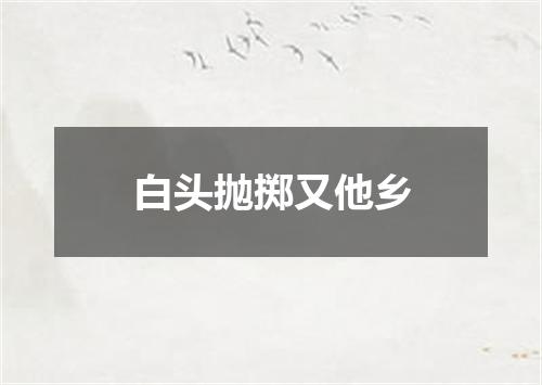 白头抛掷又他乡