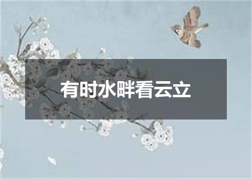 有时水畔看云立