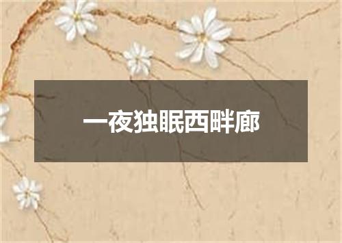 一夜独眠西畔廊
