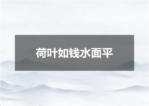 荷叶如钱水面平