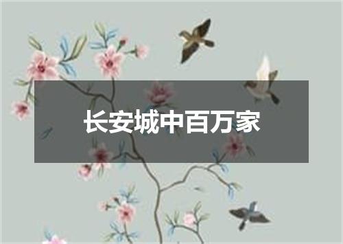 长安城中百万家