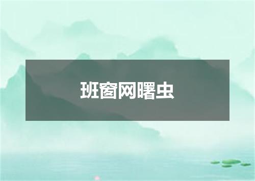 班窗网曙虫