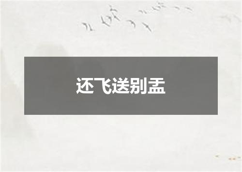还飞送别盂
