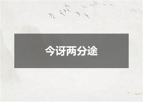 今讶两分途