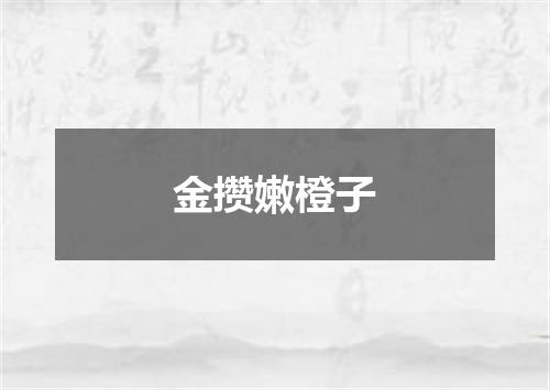 金攒嫩橙子