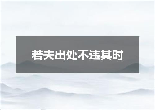 若夫出处不违其时
