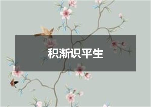 积渐识平生