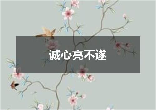 诚心亮不遂