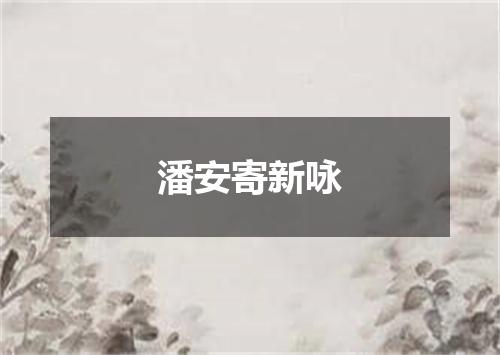 潘安寄新咏