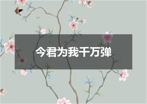 今君为我千万弹