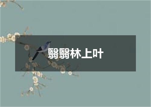 翳翳林上叶
