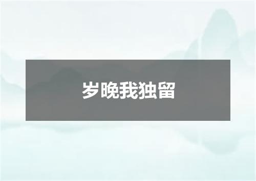 岁晚我独留