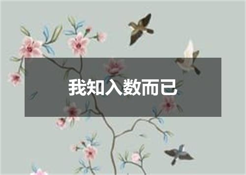 我知入数而已