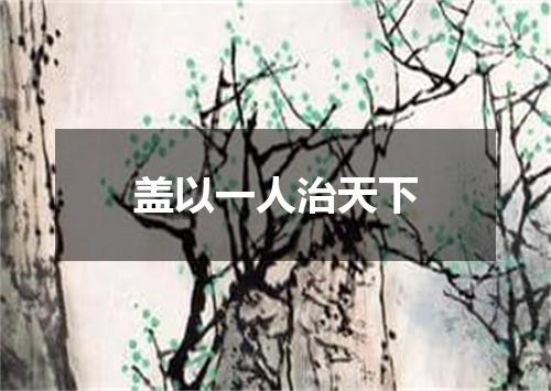 盖以一人治天下