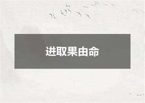 进取果由命