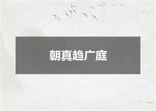 朝真趋广庭